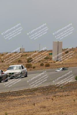 media/May-03-2025-Lucky Dog Racing (Sat) [[206de64b9d]]/Turn 6 (150pm-230pm)/